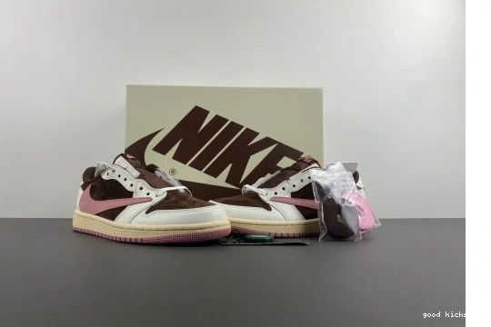 SP Retro brown Scott DZ4137-206  1 Low DZ4137-206 Travis Jordan Pink OG 0313